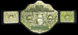 wcw20title2.jpg